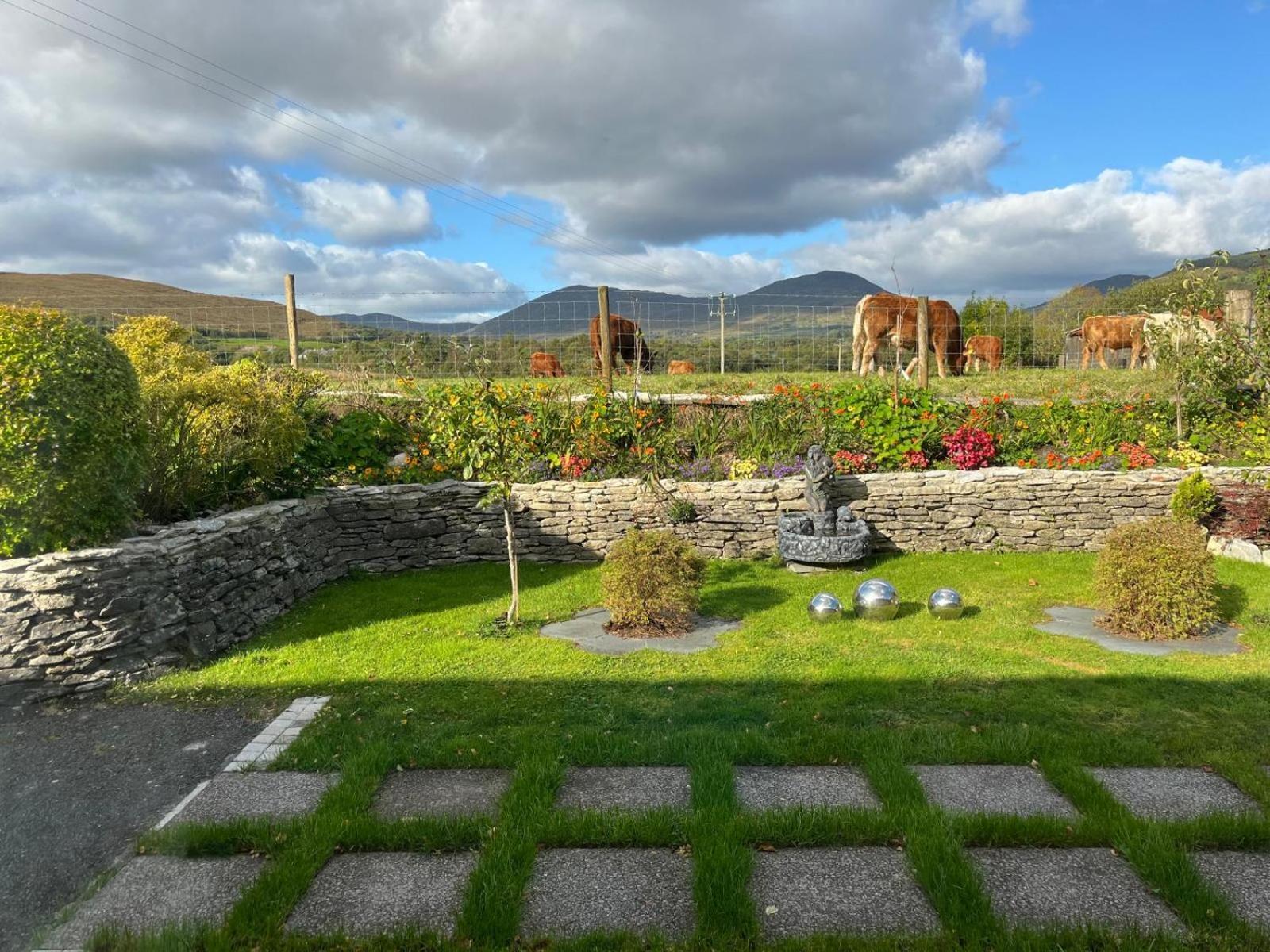 Laburnum B&B Kenmare Buitenkant foto