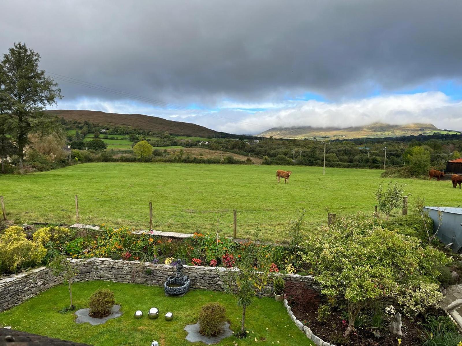 Laburnum B&B Kenmare Buitenkant foto